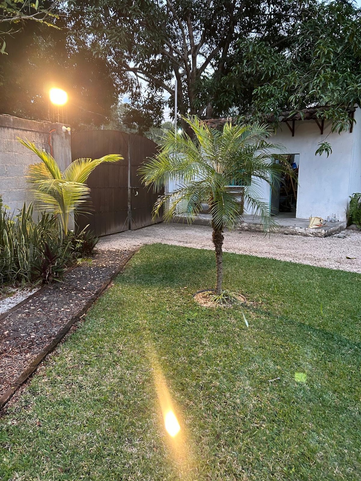 Entrada y jardín